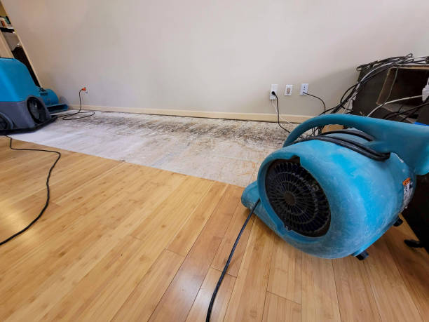 Professional Basement Flood Cleanup technician working in Astoria, OR